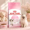 my-11134207-820l7-mp36bh0qi2odc2.webp ROYAL CANIN Kitten Dry Cat Food 400g Healthy Growth Immunity 100 Original