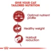 ROYAL CANIN Fit 32 Adult Dry Cat Food 2KG   Balanced Nutrition   Ideal Weight   100  Original  Fast Delivery