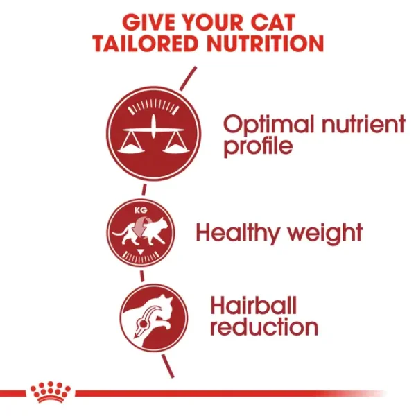 ROYAL CANIN Fit 32 Adult Dry Cat Food 2KG   Balanced Nutrition   Ideal Weight   100  Original  Fast Delivery