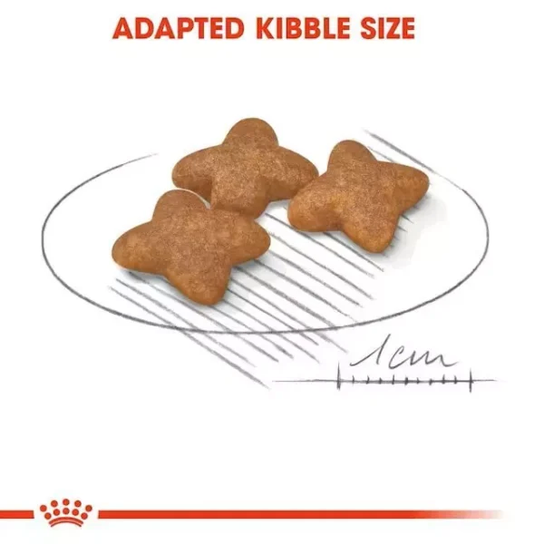 ROYAL CANIN Mini Adult Dry Dog Food 1kg Repack   Small Breed Health   100  Original