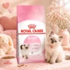 my-11134207-820lc-mp36cigg99fm3b.webp ROYAL CANIN Kitten Dry Cat Food 400g Healthy Growth Immunity 100 Original