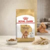 ROYAL CANIN Poodle Adult Dry Dog Food 1 5kg   Beautiful Coat Health   100  Original