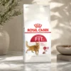 ROYAL CANIN Fit 32 Adult Dry Cat Food 2KG   Balanced Nutrition   Ideal Weight   100  Original  Fast Delivery