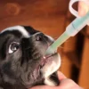 Dog Cat Tablet Pill Piller Push Dispenser Medicine Water Syringe Feed
