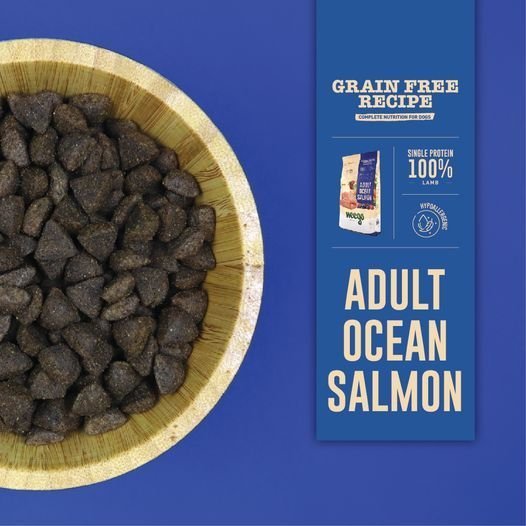 366362386_809174834421414_6137860033299800838_n_2.jpg Weego Grain Free Dog Adult Ocean Salmon 2kg