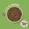 Lily's Kitchen Dog Shepherd's Pie Adult Lamb 2.5kg X 4
