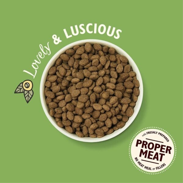 Lily's Kitchen Dog Shepherd's Pie Adult Lamb 2.5kg X 4