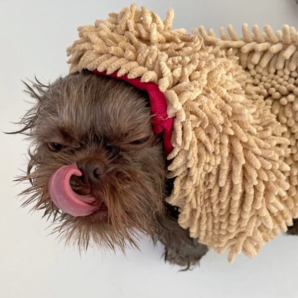 Microfiber Pet Drying Towel with Hand Pockets