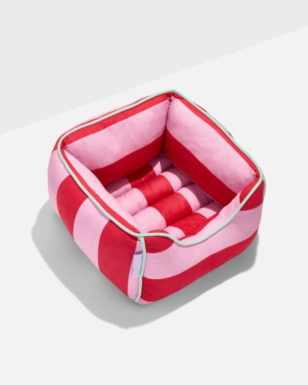 Bolster Cat Bed with Removable Cushion