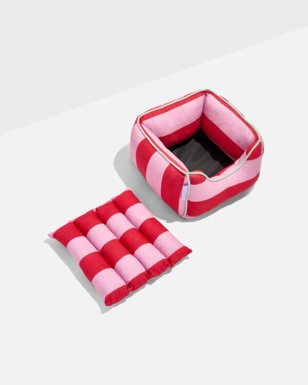 Bolster Cat Bed with Removable Cushion